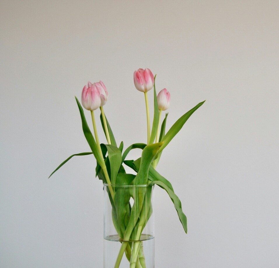 Air – Sound, Light, Integrative & Signature Therapies : The Breath of Renewal